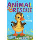 Animal Rescue : The Lost Duckling by ''Tina Nolan''